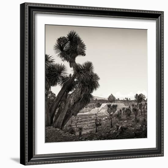 ¡Viva Mexico! Square Collection - Pyramid of Cantona Archaeological Ruins X-Philippe Hugonnard-Framed Photographic Print