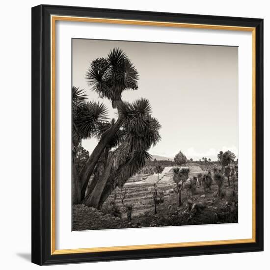 ¡Viva Mexico! Square Collection - Pyramid of Cantona Archaeological Ruins X-Philippe Hugonnard-Framed Photographic Print