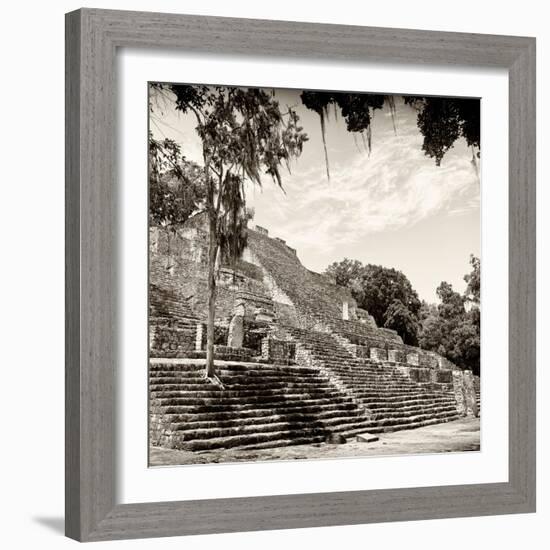 ¡Viva Mexico! Square Collection - Ruins of the ancient Mayan City of Calakmul IV-Philippe Hugonnard-Framed Photographic Print