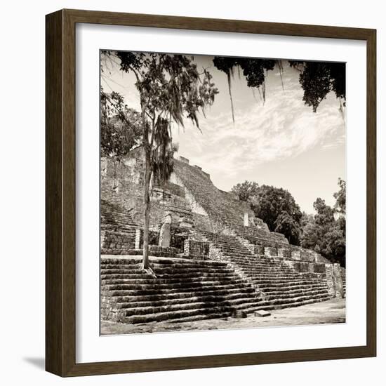 ¡Viva Mexico! Square Collection - Ruins of the ancient Mayan City of Calakmul IV-Philippe Hugonnard-Framed Photographic Print