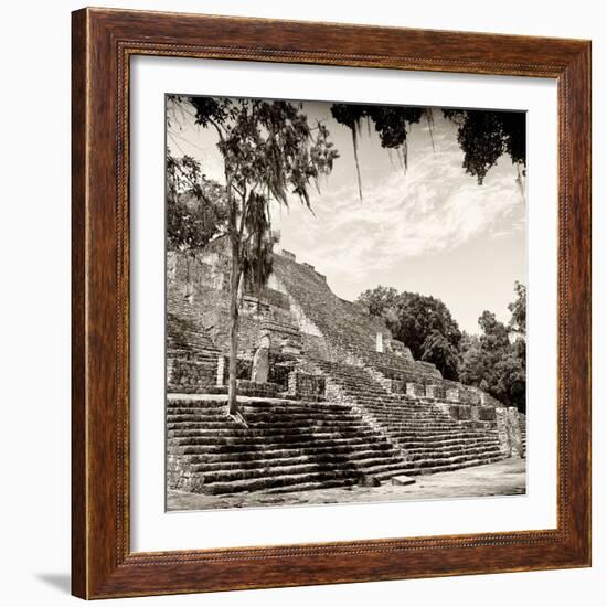 ¡Viva Mexico! Square Collection - Ruins of the ancient Mayan City of Calakmul IV-Philippe Hugonnard-Framed Photographic Print