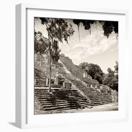 ¡Viva Mexico! Square Collection - Ruins of the ancient Mayan City of Calakmul IV-Philippe Hugonnard-Framed Photographic Print