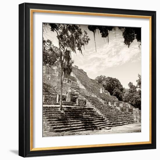 ¡Viva Mexico! Square Collection - Ruins of the ancient Mayan City of Calakmul IV-Philippe Hugonnard-Framed Photographic Print