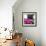 ¡Viva Mexico! Square Collection - Small Deep Pink VW Beetle Car-Philippe Hugonnard-Framed Photographic Print displayed on a wall