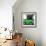 ¡Viva Mexico! Square Collection - Small Green VW Beetle Car-Philippe Hugonnard-Framed Photographic Print displayed on a wall