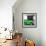 ¡Viva Mexico! Square Collection - Small Green VW Beetle Car-Philippe Hugonnard-Framed Photographic Print displayed on a wall