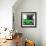 ¡Viva Mexico! Square Collection - Small Green VW Beetle Car-Philippe Hugonnard-Framed Photographic Print displayed on a wall