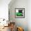 ¡Viva Mexico! Square Collection - Small Green VW Beetle Car-Philippe Hugonnard-Framed Photographic Print displayed on a wall