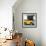 ¡Viva Mexico! Square Collection - Small Yellow VW Beetle Car-Philippe Hugonnard-Framed Photographic Print displayed on a wall
