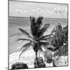 ¡Viva Mexico! Square Collection - Tulum Caribbean Coastline XI-Philippe Hugonnard-Mounted Photographic Print