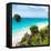 ¡Viva Mexico! Square Collection - Tulum Caribbean Coastline-Philippe Hugonnard-Framed Premier Image Canvas