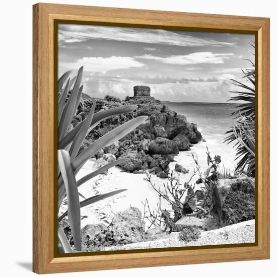 ¡Viva Mexico! Square Collection - Tulum Ruins along Caribbean Coastline with Iguana II-Philippe Hugonnard-Framed Premier Image Canvas