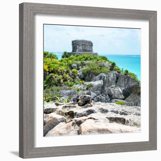 ¡Viva Mexico! Square Collection - Tulum Ruins along Caribbean Coastline with Iguana III-Philippe Hugonnard-Framed Photographic Print