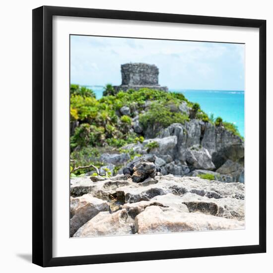 ¡Viva Mexico! Square Collection - Tulum Ruins along Caribbean Coastline with Iguana III-Philippe Hugonnard-Framed Photographic Print