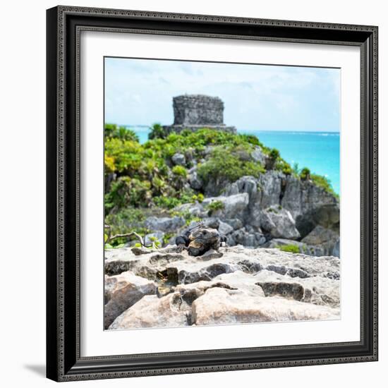 ¡Viva Mexico! Square Collection - Tulum Ruins along Caribbean Coastline with Iguana III-Philippe Hugonnard-Framed Photographic Print