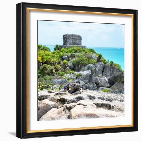 ¡Viva Mexico! Square Collection - Tulum Ruins along Caribbean Coastline with Iguana III-Philippe Hugonnard-Framed Photographic Print