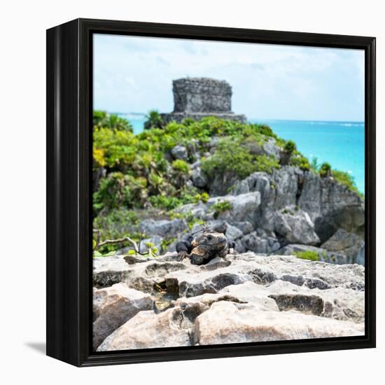 ¡Viva Mexico! Square Collection - Tulum Ruins along Caribbean Coastline with Iguana III-Philippe Hugonnard-Framed Premier Image Canvas