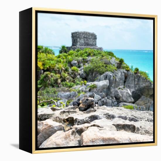 ¡Viva Mexico! Square Collection - Tulum Ruins along Caribbean Coastline with Iguana III-Philippe Hugonnard-Framed Premier Image Canvas