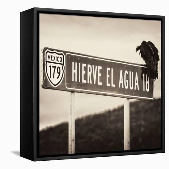 ¡Viva Mexico! Square Collection - Vulture II-Philippe Hugonnard-Framed Premier Image Canvas