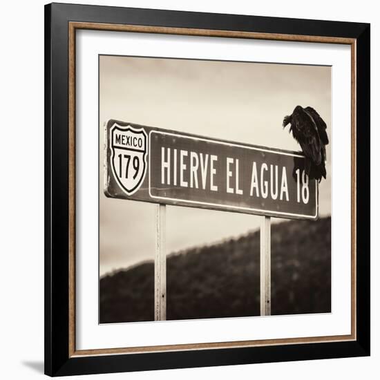 ¡Viva Mexico! Square Collection - Vulture II-Philippe Hugonnard-Framed Photographic Print