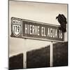 ¡Viva Mexico! Square Collection - Vulture II-Philippe Hugonnard-Mounted Photographic Print