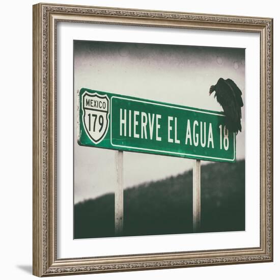 ¡Viva Mexico! Square Collection - Vulture III-Philippe Hugonnard-Framed Photographic Print