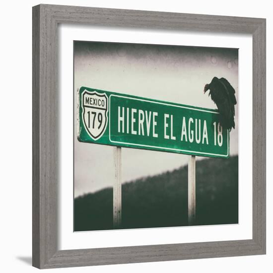 ¡Viva Mexico! Square Collection - Vulture III-Philippe Hugonnard-Framed Photographic Print