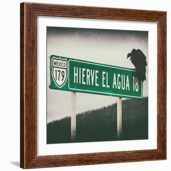 ¡Viva Mexico! Square Collection - Vulture III-Philippe Hugonnard-Framed Photographic Print