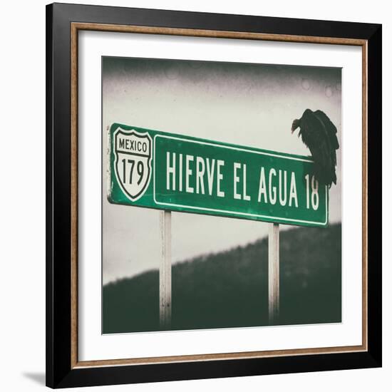 ¡Viva Mexico! Square Collection - Vulture III-Philippe Hugonnard-Framed Photographic Print