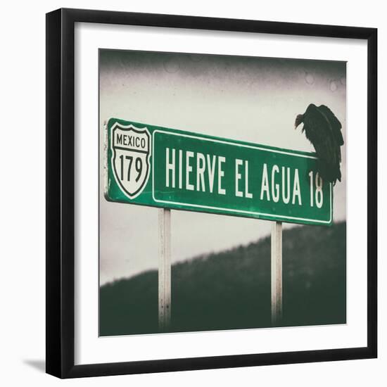 ¡Viva Mexico! Square Collection - Vulture III-Philippe Hugonnard-Framed Photographic Print