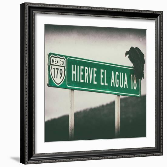 ¡Viva Mexico! Square Collection - Vulture III-Philippe Hugonnard-Framed Photographic Print