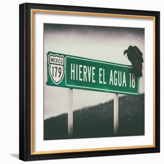 ¡Viva Mexico! Square Collection - Vulture III-Philippe Hugonnard-Framed Photographic Print