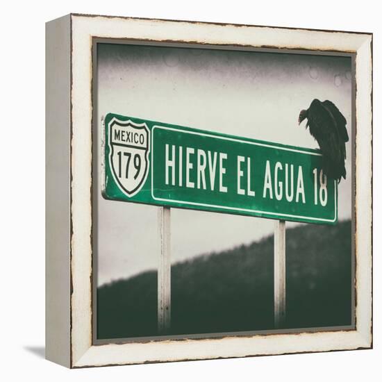 ¡Viva Mexico! Square Collection - Vulture III-Philippe Hugonnard-Framed Premier Image Canvas