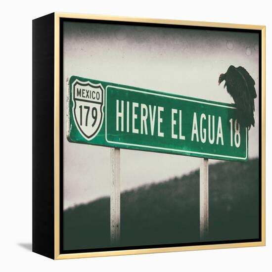 ¡Viva Mexico! Square Collection - Vulture III-Philippe Hugonnard-Framed Premier Image Canvas