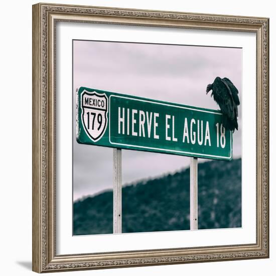 ¡Viva Mexico! Square Collection - Vulture-Philippe Hugonnard-Framed Photographic Print