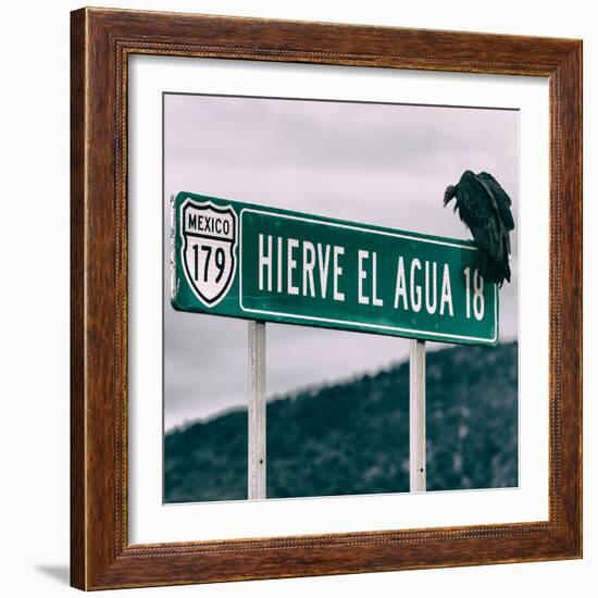 ¡Viva Mexico! Square Collection - Vulture-Philippe Hugonnard-Framed Photographic Print