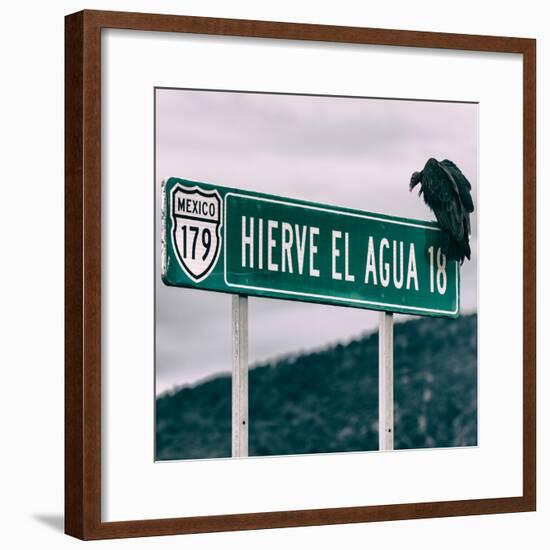 ¡Viva Mexico! Square Collection - Vulture-Philippe Hugonnard-Framed Photographic Print