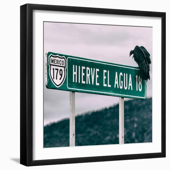 ¡Viva Mexico! Square Collection - Vulture-Philippe Hugonnard-Framed Photographic Print