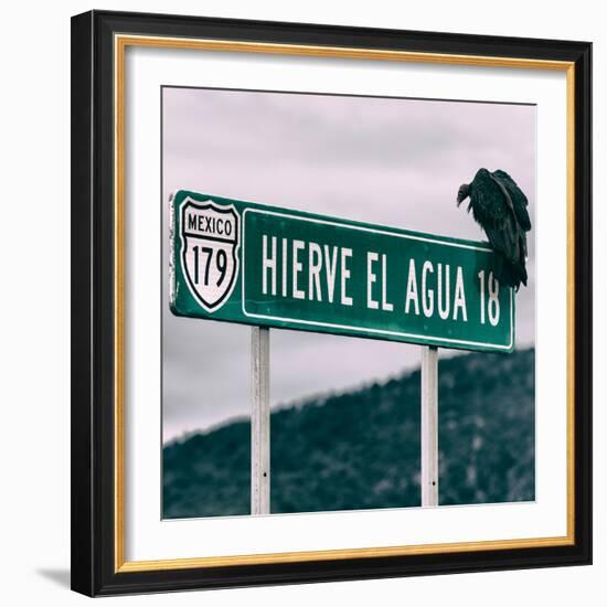 ¡Viva Mexico! Square Collection - Vulture-Philippe Hugonnard-Framed Photographic Print