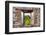 ¡Viva Mexico! Window View - Calakmul in the Mexican Jungle-Philippe Hugonnard-Framed Photographic Print