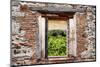 ¡Viva Mexico! Window View - Ruins of the ancient Mayan City of Calakmul-Philippe Hugonnard-Mounted Photographic Print