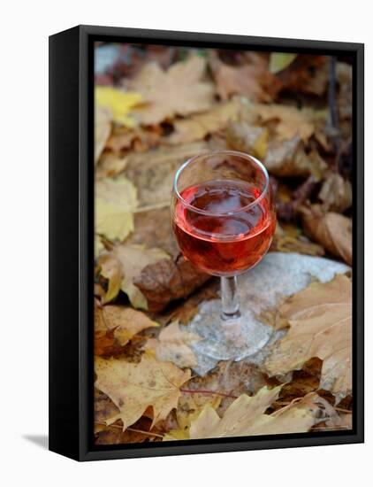 Vivarais Railway Stop and Glass of Kir, Ardeche, France-Lisa S. Engelbrecht-Framed Premier Image Canvas