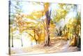 Stretched Canvas Print