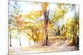Photographic Print
