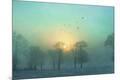 Premium Photographic Print