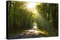 Stretched Canvas Print
