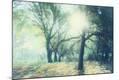 Photographic Print