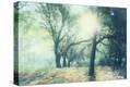 Stretched Canvas Print