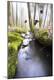 Premium Photographic Print