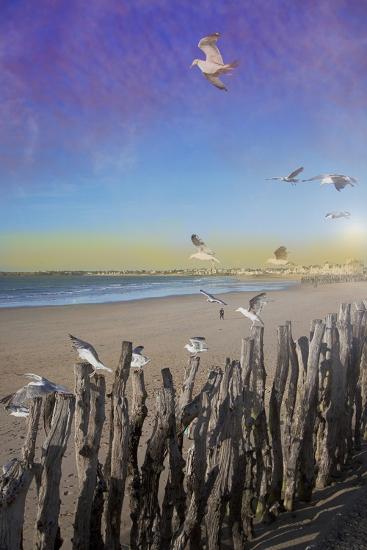 Photographic Print, , large